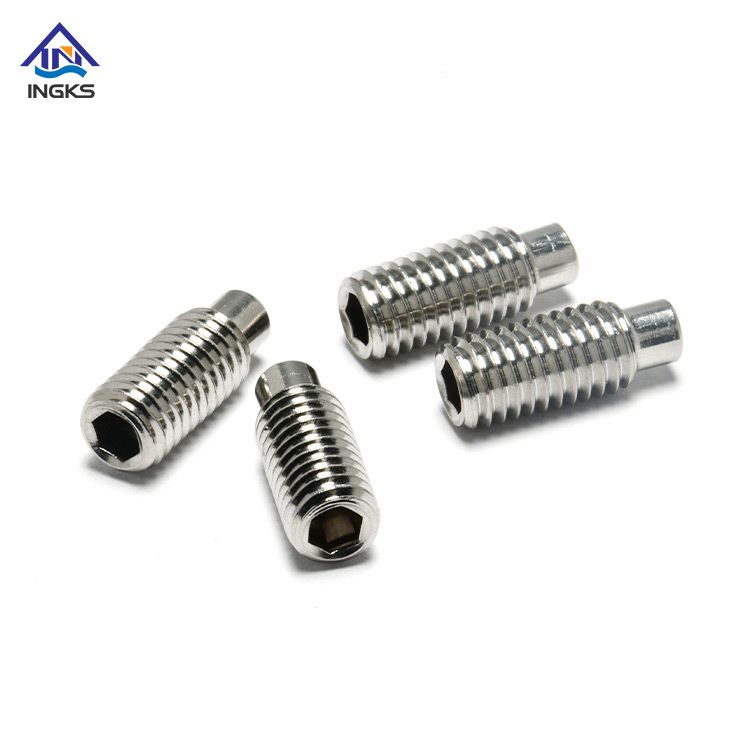 Stainless Steel 304 316 Hexagon Socket Dog Point Set Screw