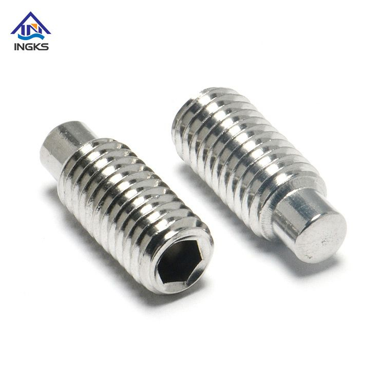 Stainless Steel 304 316 Hexagon Socket Dog Point Set Screw