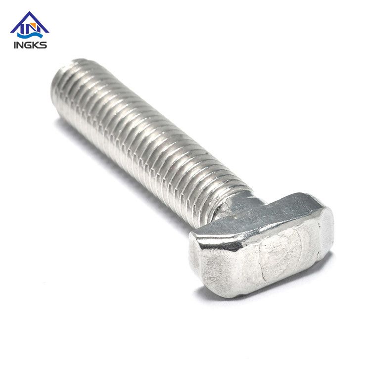 Stainless Steel Hammer Head T Shaped bolt