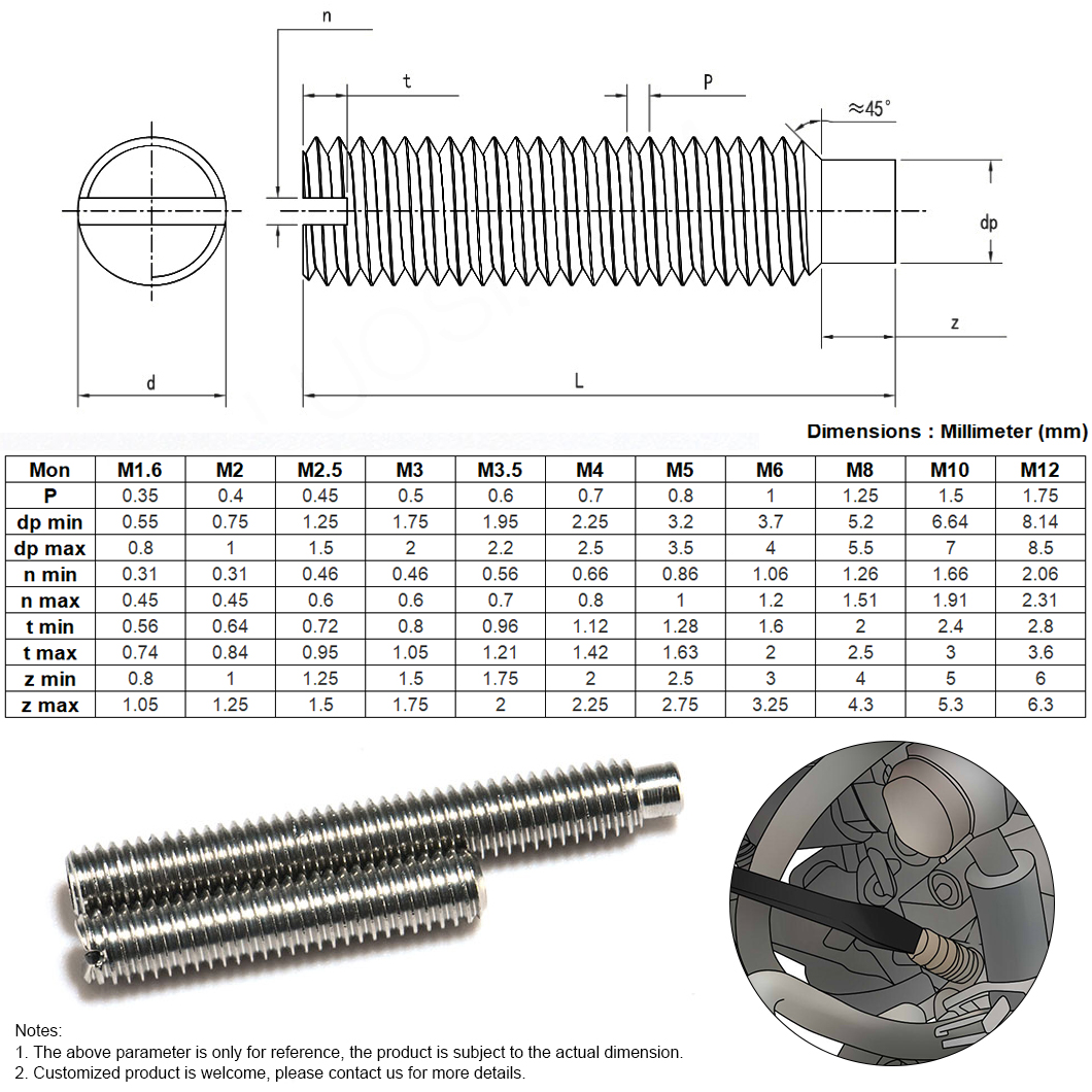 slotted set screw with dog point