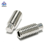 Stainless Steel 304 316 Hexagon Socket Dog Point Set Screw