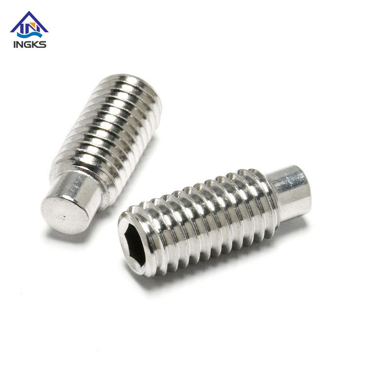 Stainless Steel 304 316 Hexagon Socket Dog Point Set Screw