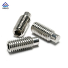 Stainless Steel 304 316 Hexagon Socket Dog Point Set Screw