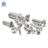 A2 A4 Stainless Steel Pan Button CSK Head Machine Tapping Drilling Security Screw