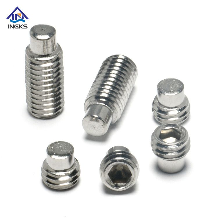 Stainless Steel 304 316 Hexagon Socket Dog Point Set Screw