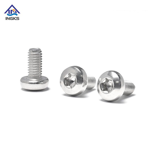 SS304 SS316 Inch Size Torx Pan Head Anti-theft Machine Screw